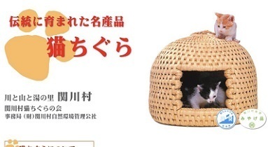 ち ぐら 猫 スピッツ